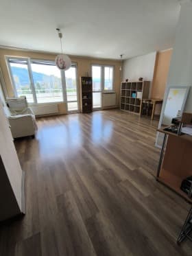 Продава 2-СТАЕН град София, Стрелбище 219 900 € 430 087.02 лв.